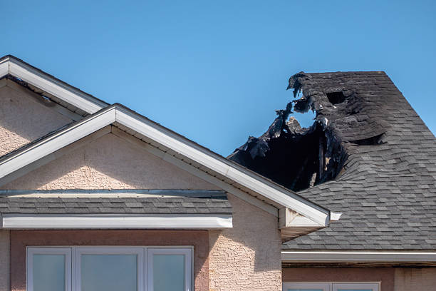 Top rated local Fire Damage Removal specialists in Philadelphia, PA